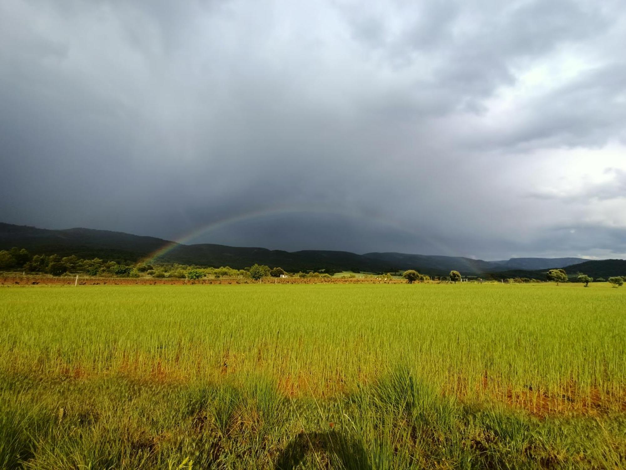 Alojamiento Rural El Cerro Fresneda de la Sierra Екстериор снимка