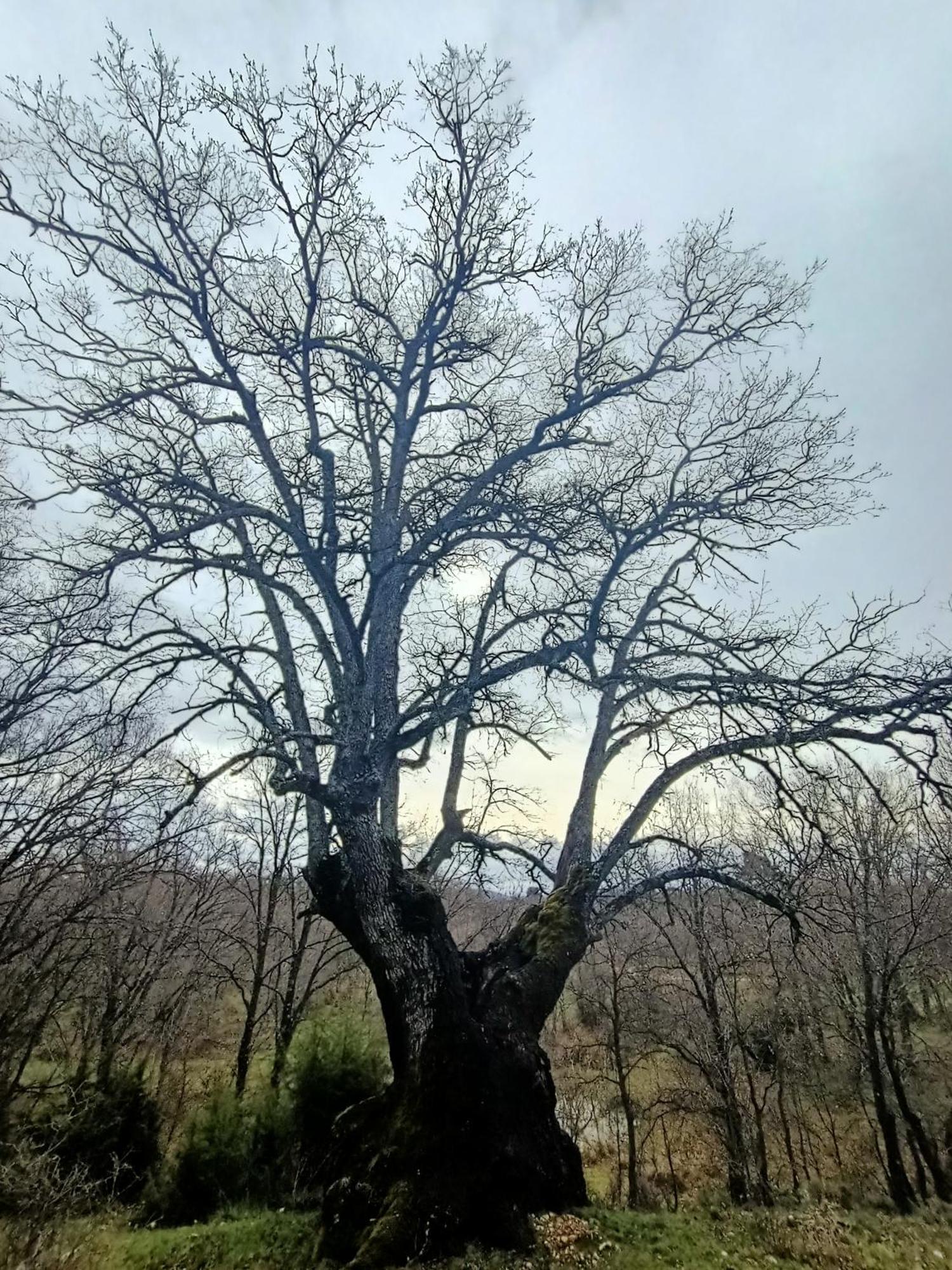 Alojamiento Rural El Cerro Fresneda de la Sierra Екстериор снимка
