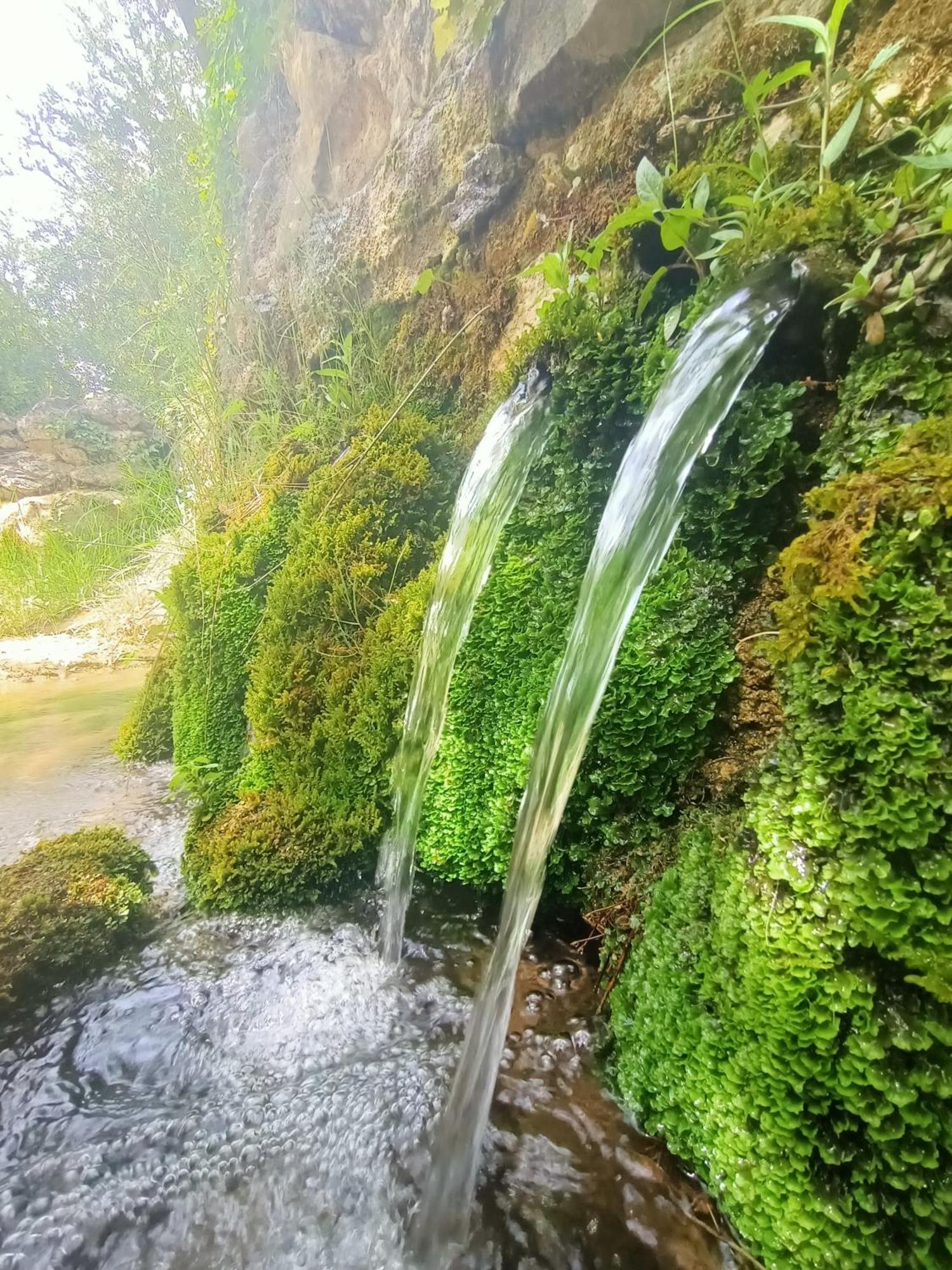 Alojamiento Rural El Cerro Fresneda de la Sierra Екстериор снимка