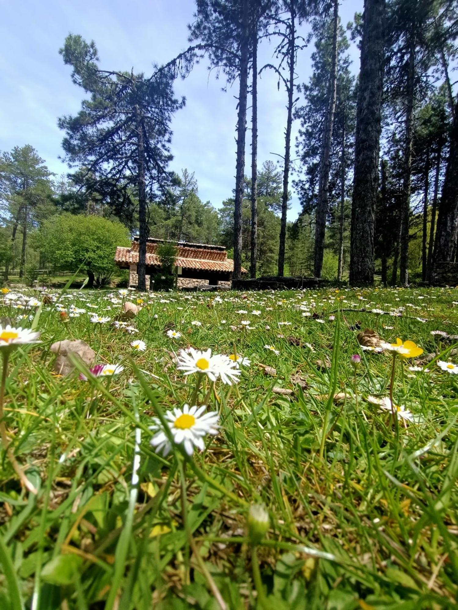 Alojamiento Rural El Cerro Fresneda de la Sierra Екстериор снимка